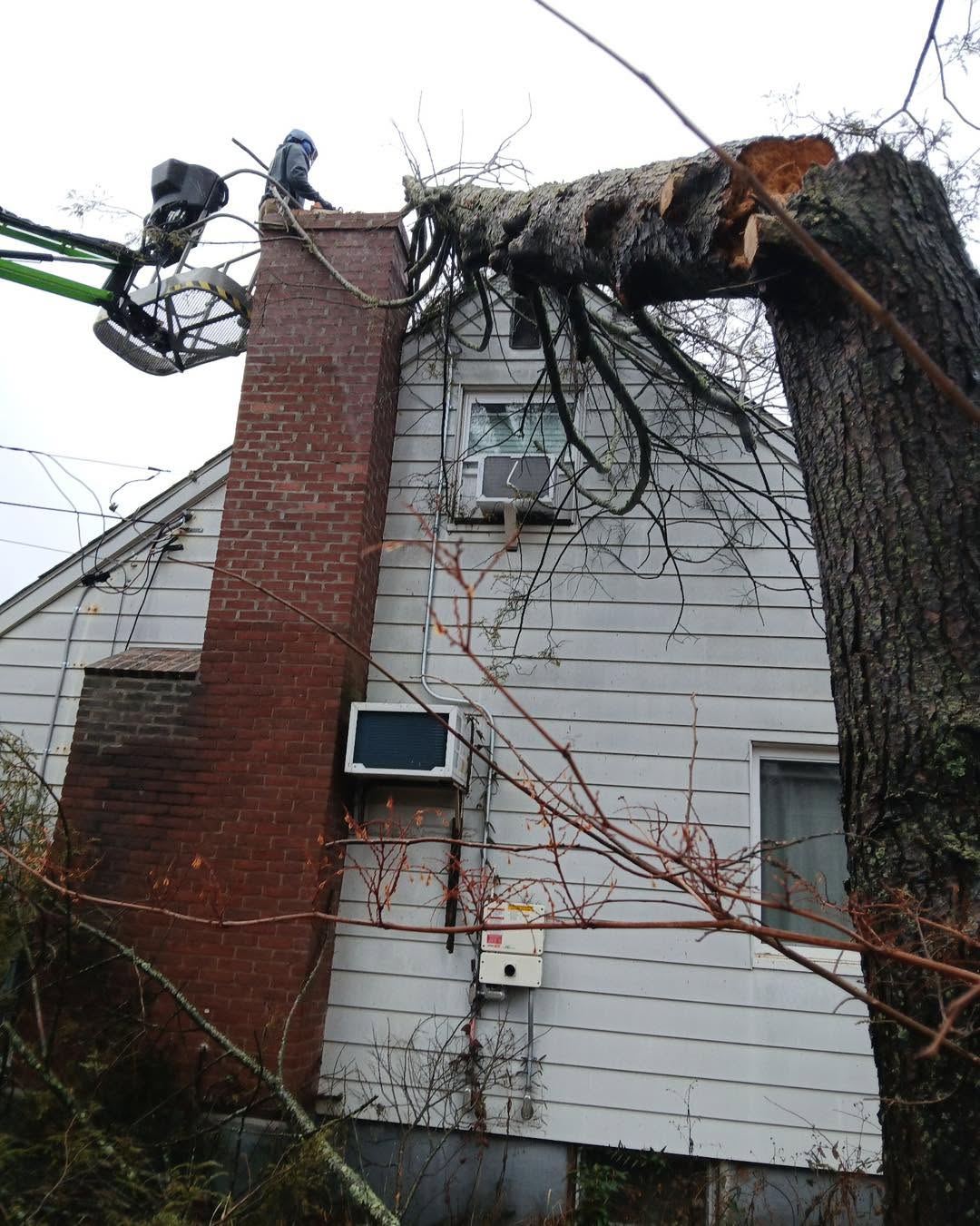 Emergency storm damage tree removal crew lifting a fallen tree off a Connecticut home's roof