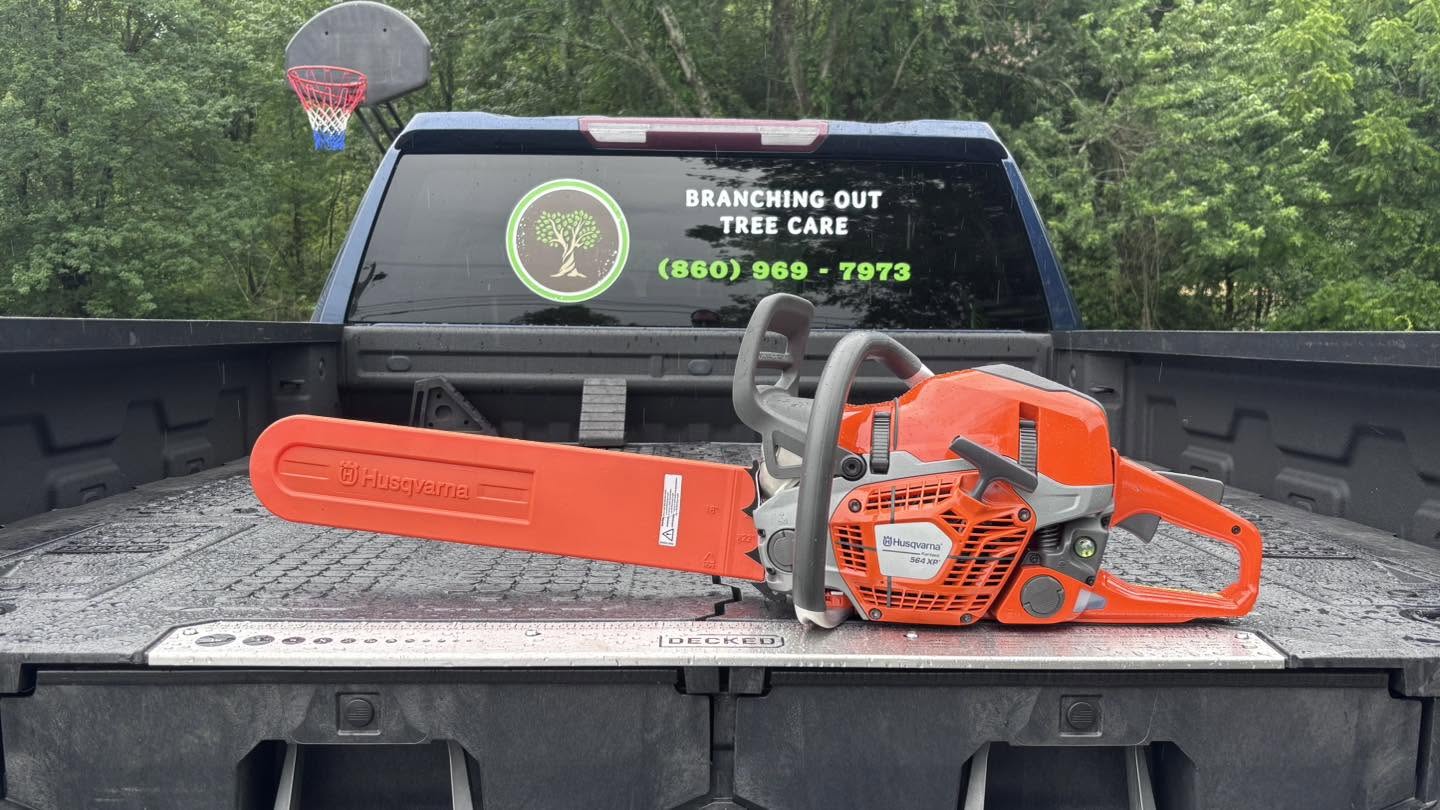 Branching Out Tree Care truck with logo and chainsaw in the bed in Coventry Connecticut
