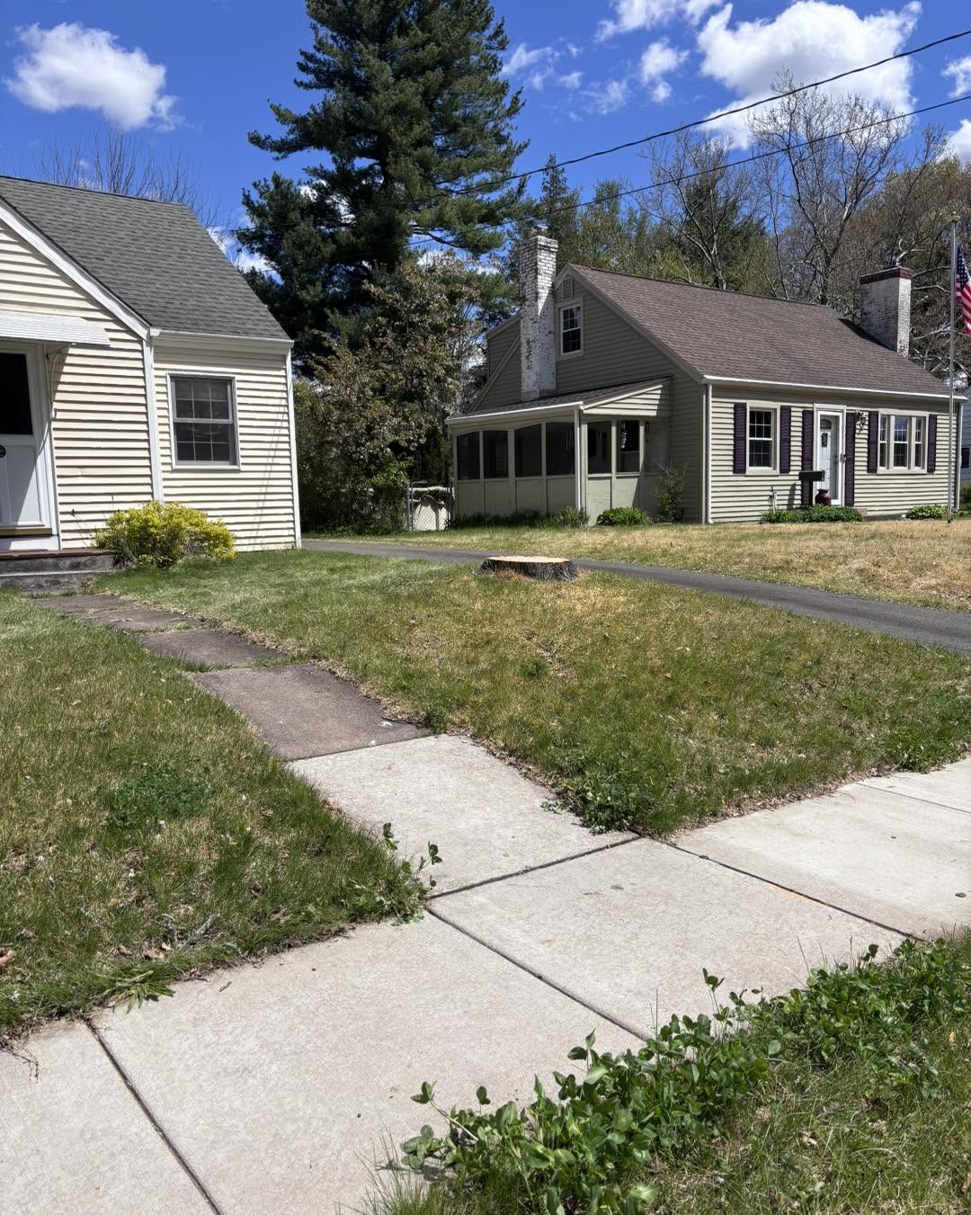 Stump ground flush with the lawn after stump grinding at a Coventry CT home